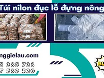 Điểm bán túi nilon đục lỗ đựng nông sản giá rẻ