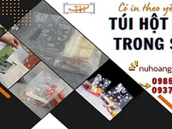 Túi hột xoài trong suốt in hình đẹp – Nhận in logo theo yêu cầu giá rẻ