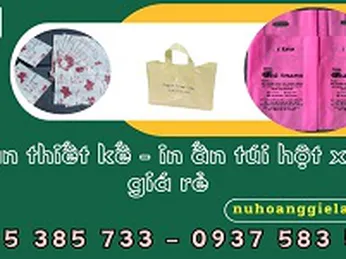 Nhận thiết kế miễn phí - in túi hột xoài giá rẻ