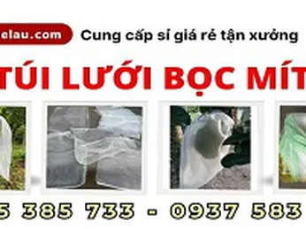 Túi lưới bao mít giá tốt HCM