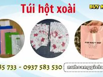 Công ty cung cấp túi hột xoài giá tốt nhất