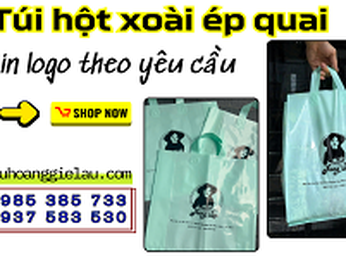 Túi hột xoài ép quai in logo theo yêu cầu giá rẻ