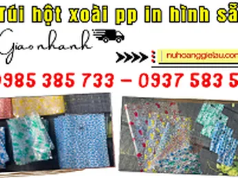 Túi hột xoài PP in hình sẵn kho giá rẻ
