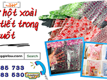 Túi PP hột xoài in họa tiết trong suốt giá rẻ