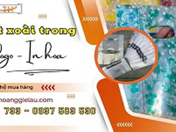 Túi hột xoài trong suốt in logo thương hiệu giá tốt