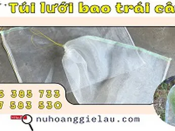 Túi lưới bao trái cây chống côn trùng giá xưởng rẻ cho nhà vườn
