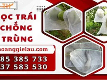 Túi bọc trái cây chống côn trùng sỉ rẻ