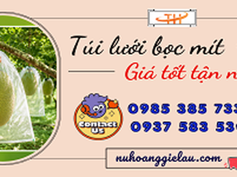 Địa chỉ bán túi lưới bọc mít uy tín
