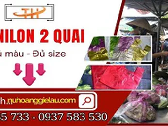 Túi nilon 2 quai sỉ lẻ hàng sẵn số lượng đủ màu