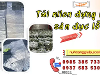 Mua sỉ túi nilon đựng nông sản đục lỗ giao tận nơi