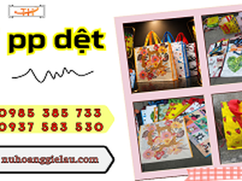 Túi PP dệt tái sử dụng nhiều lần thân thiện môi trường