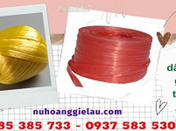 Xưởng bán sỉ cuộn dây ni lông nem tại Sài Gòn