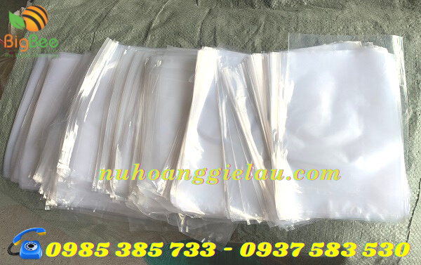 túi bóng kiếng Thu Hồng