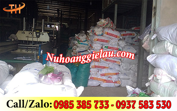 Túi bóng kính sẵn số lượng lớn đủ kích thước Túi bóng kính sẵn số lượng lớn đủ kích thước