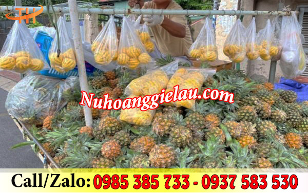 Túi bóng trắng được ứng dụng khá nhiều trong đời sống Túi bóng trắng được ứng dụng khá nhiều trong đời sống