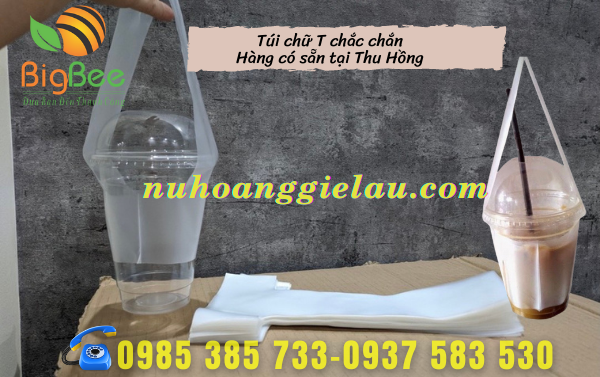 tui-chu-T-dan-rat-hot