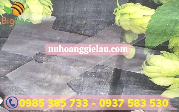 túi chữ T trong suốt túi chữ T trong suốt