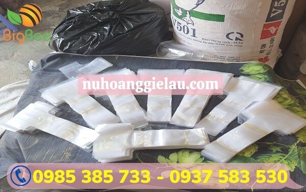 Túi chữ T Thu Hồng Túi chữ T Thu Hồng