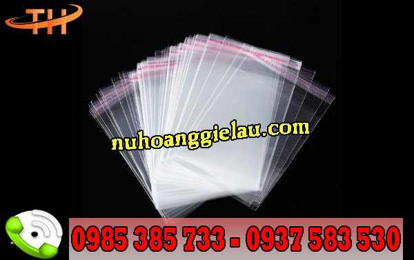 Túi nilon dán keo opp Túi nilon dán keo opp