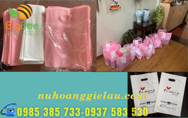 tui-dung-quan-ao-giay-dep-duoc-mua-nhieu-tai-thu-hong