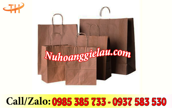 Túi giấy kraft đa dạng với nhiều kích cỡ Túi giấy kraft đa dạng với nhiều kích cỡ