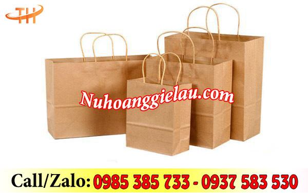 Túi giấy kraft đủ kích cỡ Túi giấy kraft đủ kích cỡ