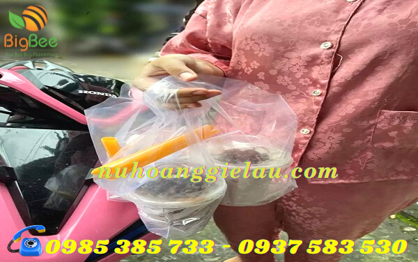 túi nilon hai vách ngăn