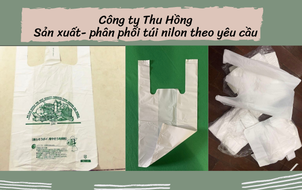 tui-hdpe-gia-re-tai-thu-hong