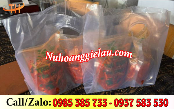 Túi hột xoài trong suốt đựng thực phẩm Túi hột xoài trong suốt đựng thực phẩm