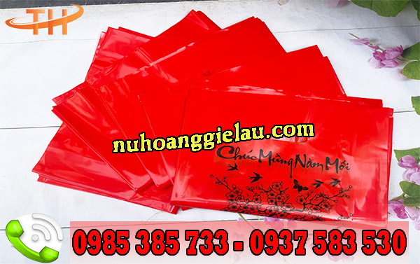 Túi hột xoài giá rẻ tận xưởng Túi hột xoài giá rẻ tận xưởng