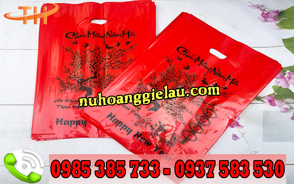 Túi hột xoài đựng hàng hóa tết, sang trọng Túi hột xoài đựng hàng hóa tết, sang trọng