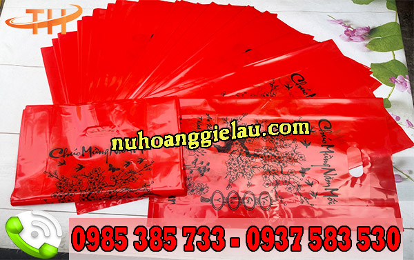 Túi hột xoài PE có in sẵn Túi hột xoài PE có in sẵn