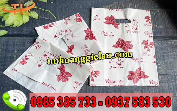 túi hột xoài in bông túi hột xoài in bông