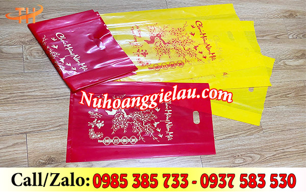 Túi hột xoài đựng quà lịch tết sẵn giá tốt Túi hột xoài đựng quà lịch tết sẵn giá tốt