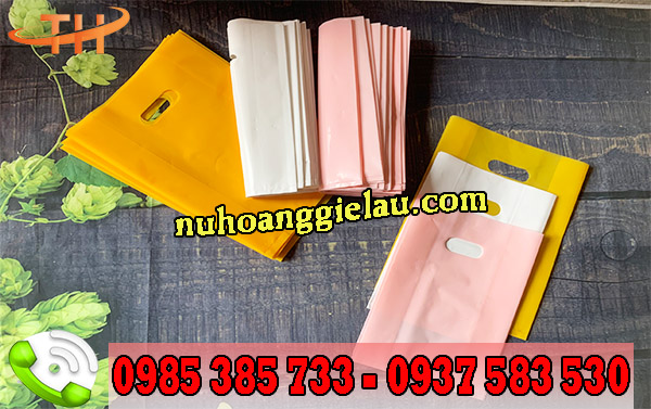 Túi hột xoài sẵn số lượng tại Thu Hồng Túi hột xoài sẵn số lượng tại Thu Hồng