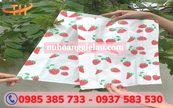 túi hột xoài HD tiện dụng túi hột xoài HD tiện dụng