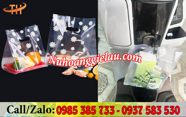 Túi hột xoài trong suốt in hình theo yêu cầu đựng thực phẩm, mỹ phẩm...sang trọng Túi hột xoài trong suốt in hình theo yêu cầu đựng thực phẩm, mỹ phẩm...sang trọng