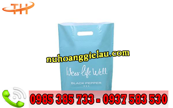 túi hột xoài in hình sang trọng túi hột xoài in hình sang trọng