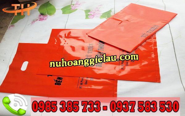 túi hột xoài màu sắc sáng, bóng, đẹp túi hột xoài màu sắc sáng, bóng, đẹp