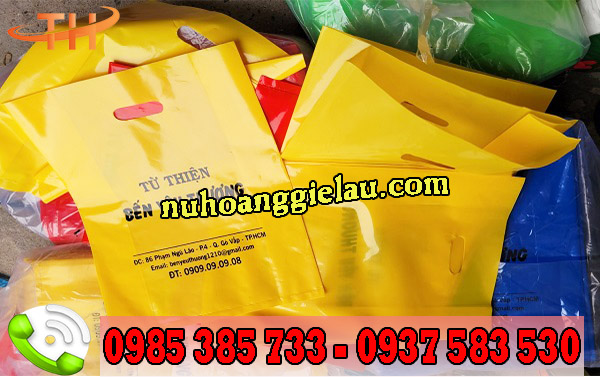 nhận đặt túi hột xoài in hình giá rẻ tại Thu Hồng nhận đặt túi hột xoài in hình giá rẻ tại Thu Hồng