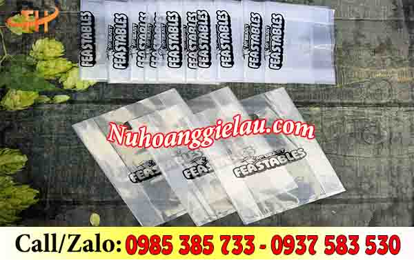 Túi hột xoài trong in thương hiệu Túi hột xoài trong in thương hiệu