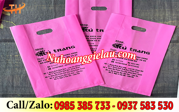 Mẫu túi hột xoài in đựng quần áo Mẫu túi hột xoài in đựng quần áo