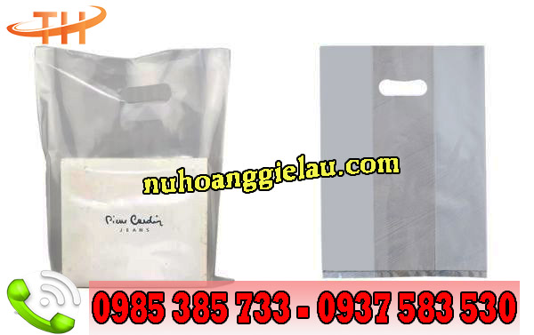 túi hột xoài trong suốt sang trọng túi hột xoài trong suốt sang trọng