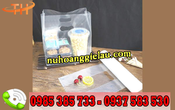 túi hột xoài trong suốt chất lượng túi hột xoài trong suốt chất lượng