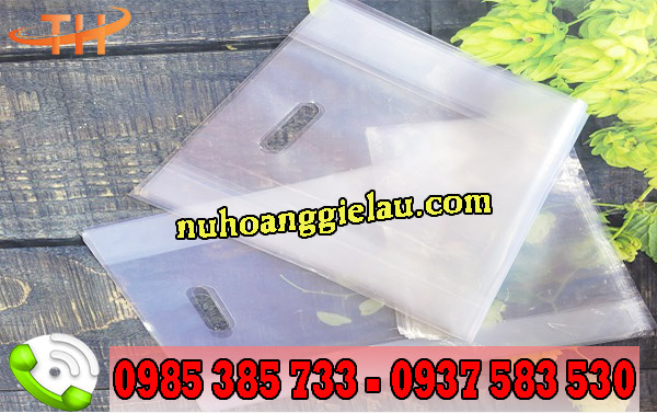 túi hột xoài trong suốt giá gốc tại xưởng Thu Hồng túi hột xoài trong suốt giá gốc tại xưởng Thu Hồng