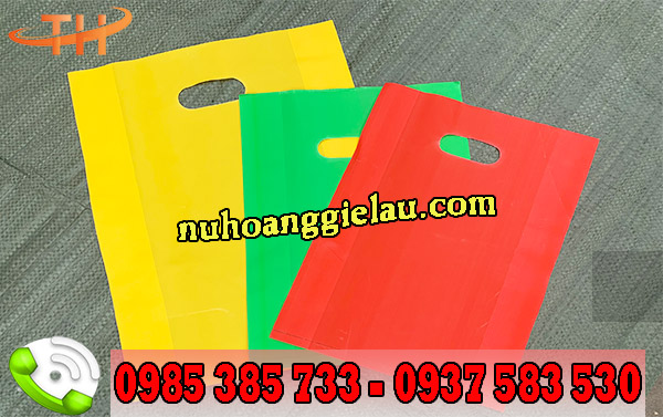 Túi hột xoài HD Túi hột xoài HD