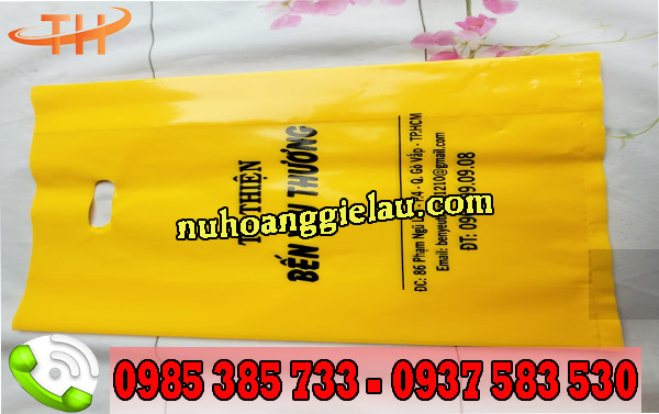 Túi hột xoài PE Túi hột xoài PE