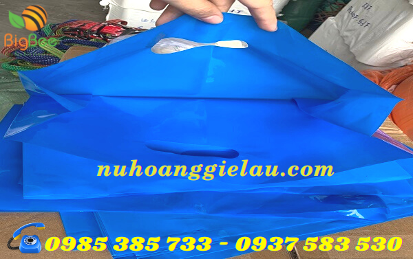 túi hột xoài chất liệu PE