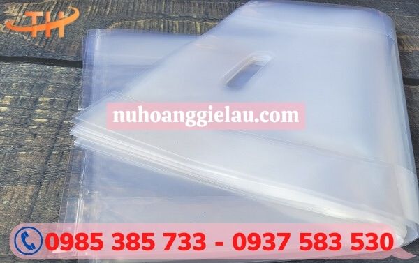 túi hột xoài trong suốt giá rẻ Túi hột xoài trong suốt Thu Hồng