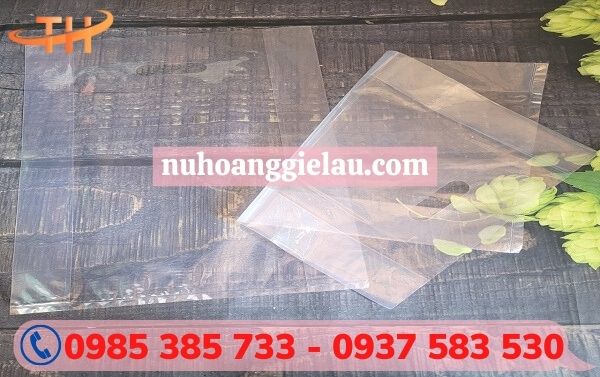 Túi hột xoài PE trong suốt đẹp Túi hột xoài PE trong suốt đẹp